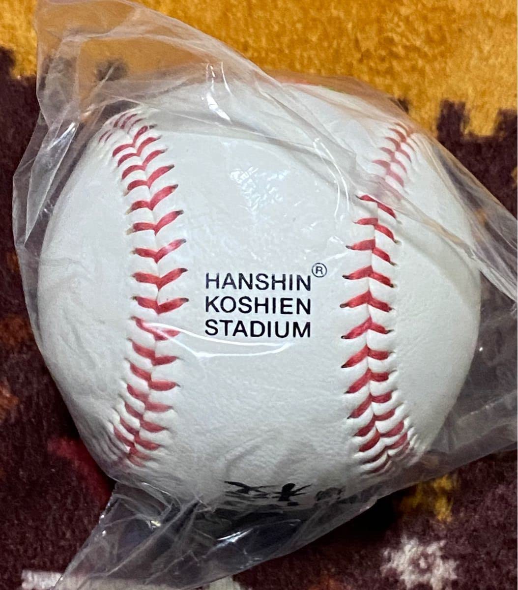 Amazon.co.jp: 東大阪大柏原 全国高校野球出場記念 グッズ4点セット彡